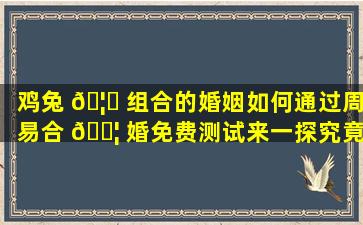 鸡兔 🦟 组合的婚姻如何通过周易合 🐦 婚免费测试来一探究竟！